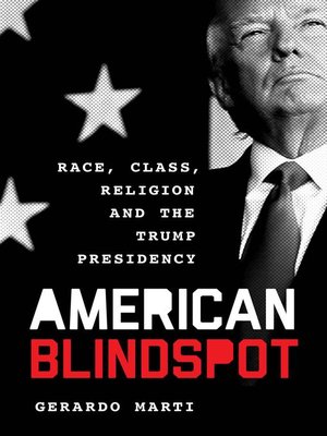 cover image of American Blindspot